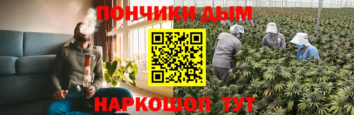 Конопля MAZAR Печора